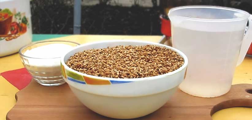 Ингредиенты для самогона из пшеницы